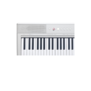 Digital Stage Piano
